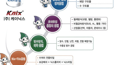 (주)케이닉스 / (주)케이닉스공사