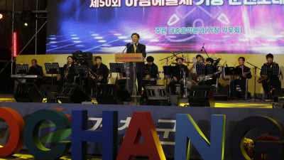 대중음악분과
